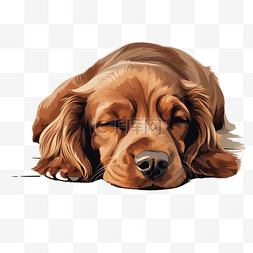 可爱的长耳棕色狗睡在地板上，它