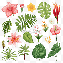 自然饱和度图片_热带花卉和叶子插图