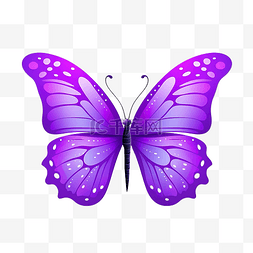 紫色蝴蝶可爱