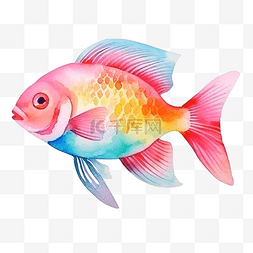 鱼水彩剪贴画卡通