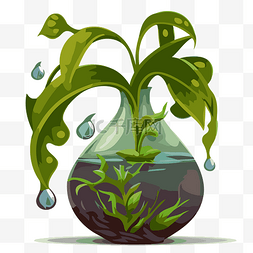 水生植物 向量