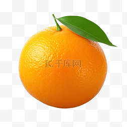 库存背景图片_孤立的橙色水果 库存照片