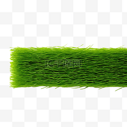 一片绿草