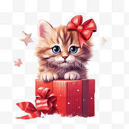 卡通禮品盒图片_卡片上有一只带礼品盒的小猫