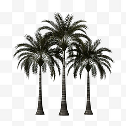 棕榈树隔离 3D 渲染插图