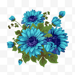 非洲菊花束图片_藍花 向量