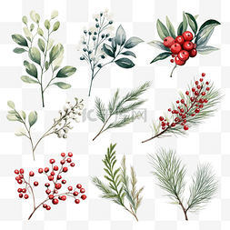 冬季系列图片_圣诞花卉系列，配有圣诞树冬季浆