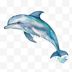 水彩海豚海洋动物