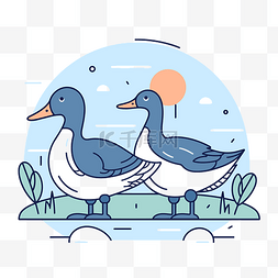 两只鸭子站在湖里插画免费矢量图