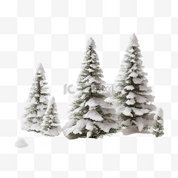 冬季降雪后雪中的森林小圣诞树