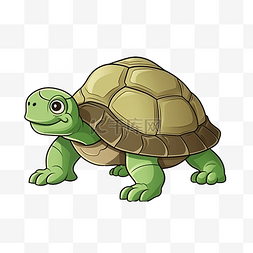 乌龟可爱卡通图片_卡通风格绿壳乌龟侧视图