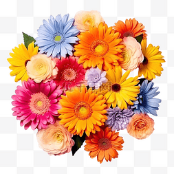 可爱的粉花图片_可爱的七彩花朵