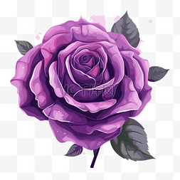 紫玫瑰 向量