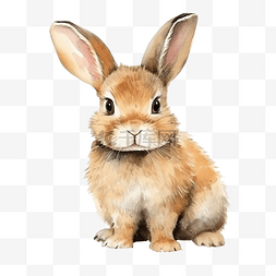 可愛的兔子水彩插圖