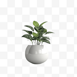 植物装饰 3d 渲染