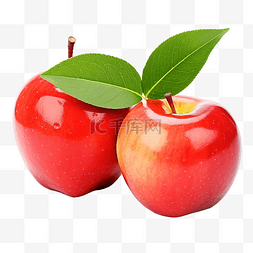 绳索夹子图片_苹果果实与绿叶