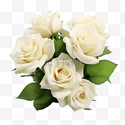 美丽的植物白玫瑰花束花