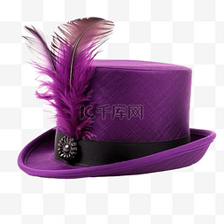 带羽毛的紫色礼帽