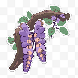 紫藤蝴蝶 向量