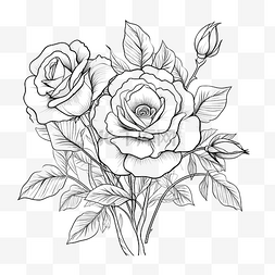 美丽的图形玫瑰植物涂鸦风格