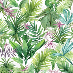 棕櫚樹图片_热带树叶水彩画