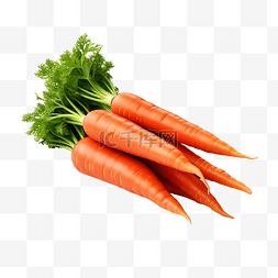 有胡萝卜的蔬菜图片_胡萝卜堆蔬菜隔离png文件
