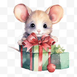 可爱的老鼠，带大礼盒