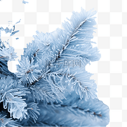 蓝色圣诞树磨砂第一霜选定的焦点