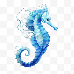 海马图片_海马蓝色png插图海洋动物