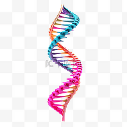 生物科学插图图片_DNA 螺旋遗传结构 3d 插图