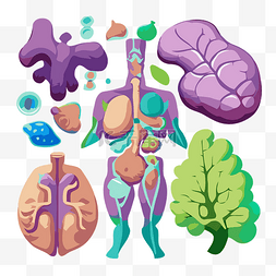 人体内分泌调节图片-人体内分泌调节图片素材免费下载-千库网