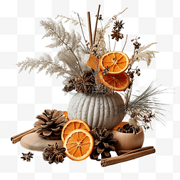 冬季植物花图片_圣诞小插图，配有干橙子和冬季植
