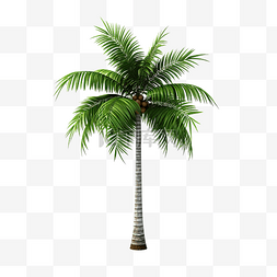 可爱旅行图标图片_3d 椰子树