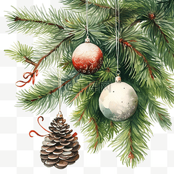 圣诞贺卡，配有冷杉树枝和漂亮的