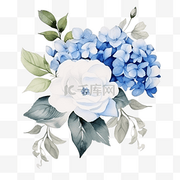 绽放蓝色图片_水彩美丽的白玫瑰和蓝色石墨植物