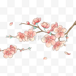 粉色花瓣素材图片_春天樱花花枝花瓣自然装饰