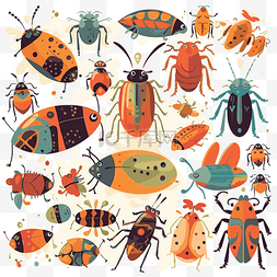 bug 剪贴画 各种昆虫和 bug 卡通 向