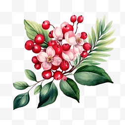 地灵叶子图片_明亮的水彩圣诞贺卡与雪莓