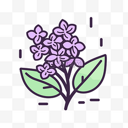 手绘风格的紫色丁香花插图 向量