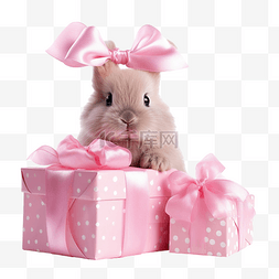 粉红可爱图片_粉红兔子和礼物
