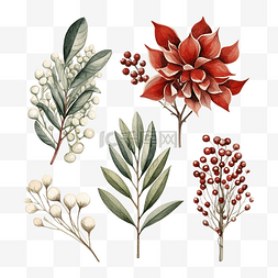 装饰植物花卉图片_圣诞花卉系列，配有圣诞树冬季浆