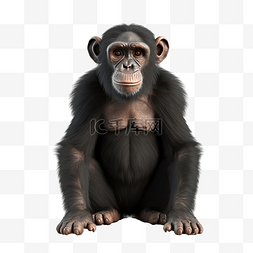黑猩猩 3d 渲染