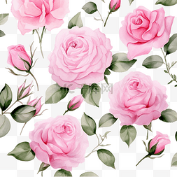 紫色樱花背景图片_粉色英国玫瑰水彩花卉图案