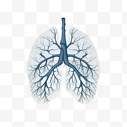 健康肺部图片_最小风格的肺部插图