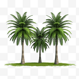 草地上棕榈树前视图的 3ds 渲染图