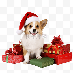 在工作室图片_穿着圣诞老人服装的狗坐在圣诞树