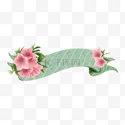 创意装饰曲线图片_丝带横幅水彩粉色花卉