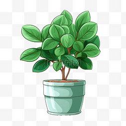 室内盆栽植物插画