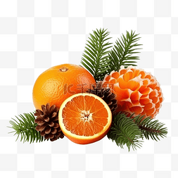 作文卡图片_圣诞贺卡与橘子