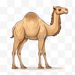 埃及探险图片_不露面的骆驼插画